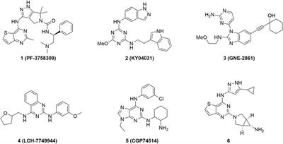 Recent advances on development of p21-activated kinase 4 inhibitors as anti-tumor agents